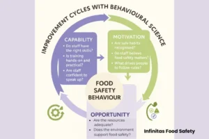 Infographic showing three coloured blocks—Capability, Motivation, and Opportunity—each with practical food safety questions, all pointing to improved food safety behaviour.