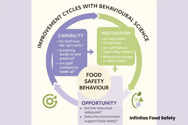 Infographic showing three coloured blocks—Capability, Motivation, and Opportunity—each with practical food safety questions, all pointing to improved food safety behaviour.