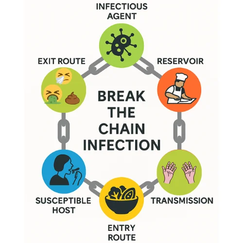 Diagram to show the 6 links in the chain of infection